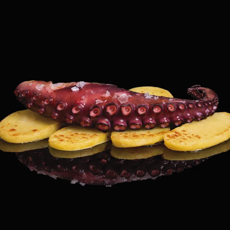 Pata de pulpo a la brasa · Especialidades Punto · Punto Estrella 24h